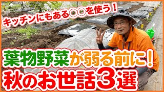 動画でご紹介