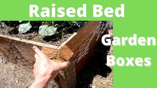 Raised bed garden -Make mole and gopher proof.