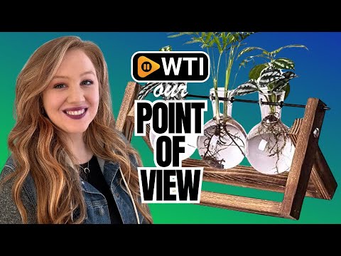 Kingbuy Plant Terrarium Propagation Station - 3 Glass Bulb Vases with Retro Wooden Stand Boho Desktop Planter for Hydroponics Home Garden Indoor Home Office Decor Unique Gifts for Women & Pla - WTI product video review