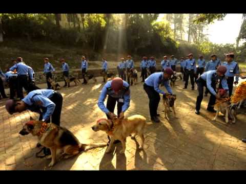 S&K - Sprzedam Cię Na Psach