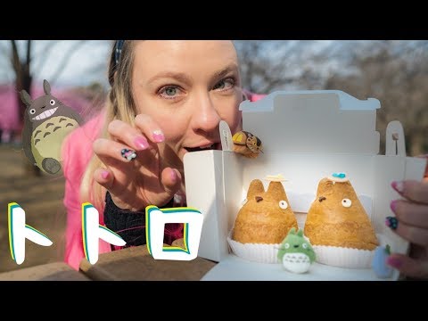 龍貓奶油泡芙冒險日 (Totoro Cream Puff Adventure Day)