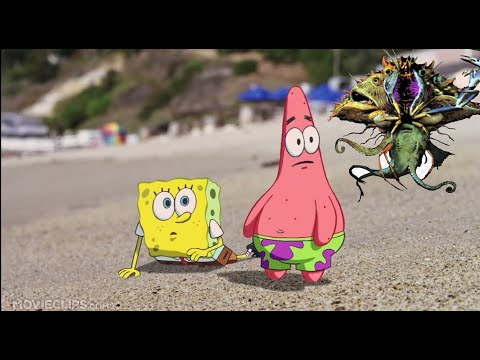 The Mollusk (Album) by Ween but with sea related clips