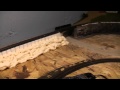 Bob S HO Layout
