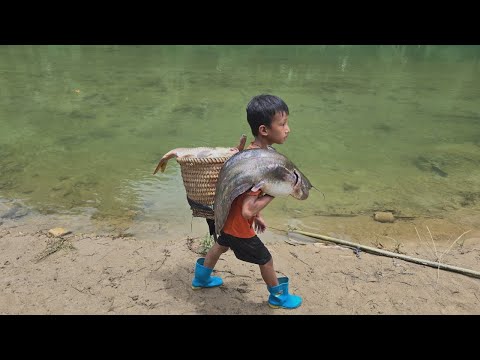 fishing skills, Highland boy khai caught a catfish weighing 8kg, Stream fishing techniques