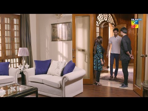 Tum Dono Ko ik Karwane Ke Liye -  Roag - HUM TV Drama