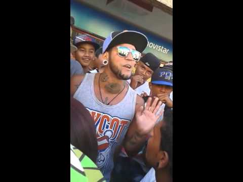 Anestecia vs Bengali