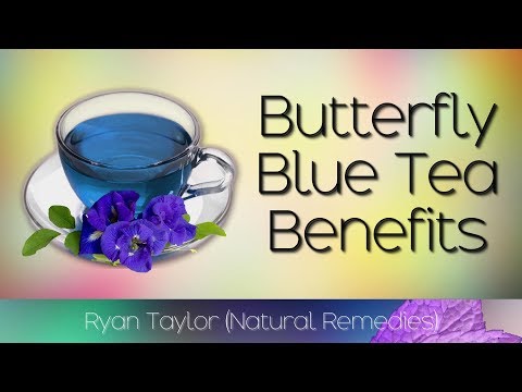 download lagu mp3 mp4 Blue Tea Benefits, download lagu Blue Tea Benefits gratis, unduh video klip Blue Tea Benefits