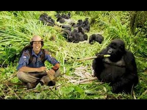 Andys Wild Adventures S02E20 Cheetahs