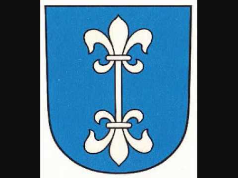 MILLI54 x XEN - DieTiker (ZH Storys)