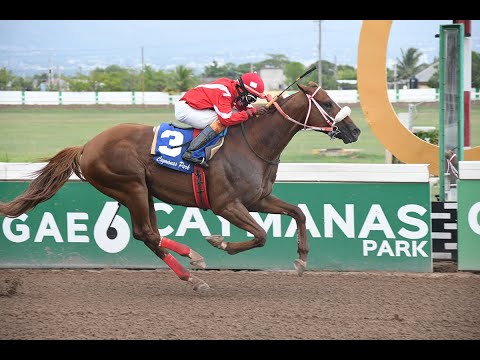 Relive When Excessive Force Won the 2022 - The Viceroy Trophy