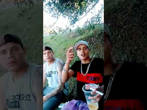 MC Tony Country SBC - Privado da Liberdade 2 (Revelação 2021)