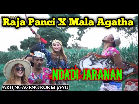 Raja Panci X Mala Agatha