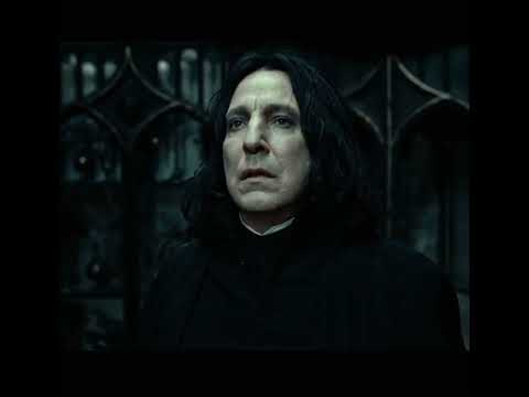 Harry Potter Reunion - Ending Scene