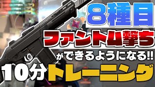 【10分！】ファントム撃ちができるようになる！8種目の最強エイム練習法を紹介！【 VALORANT / ヴァロラント 】