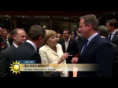 EU och Brexit: "Bedrövelse i EU efter att Storbritanninen gjort brexit" - Nyhetsmorgon (TV4)