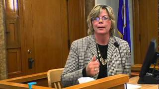 SIbley County Courthouse (County Seat)