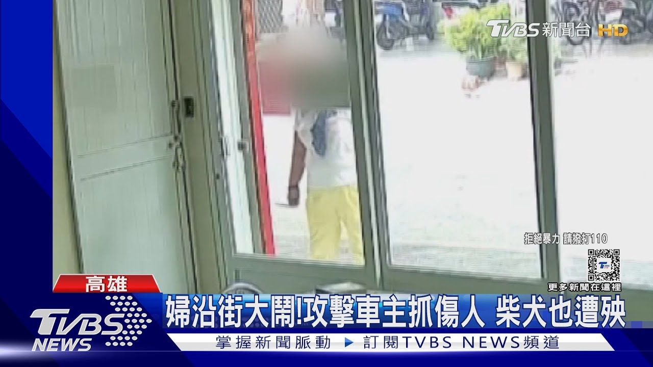 有事嗎！婦疑酒醉沿街鬧　攻擊車主、柴犬也遭殃