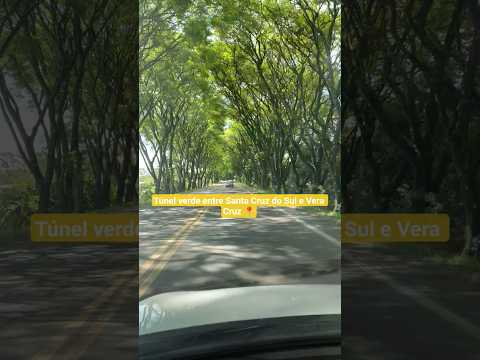 lindo Túnel verde entrar cidades de vera cruz santa cruz do sul #riograndedosul