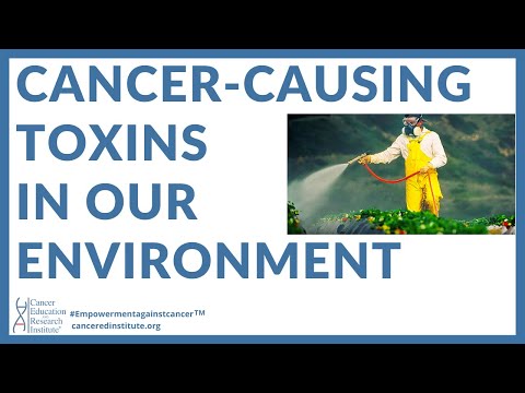 CANCER-CAUSING TOXINS IN OUR ENVIRONMENT | Cancer Education and Research Institute (CERI)