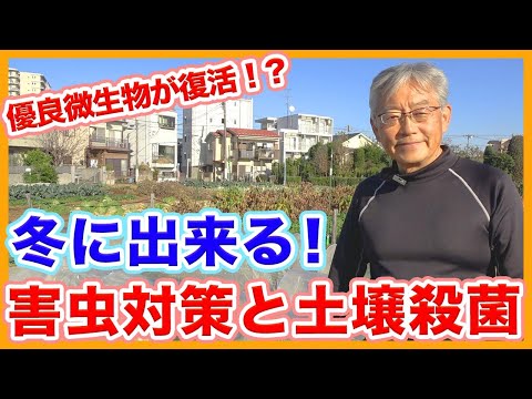 キャベツガと自然に戦う方法は？簡単な手段で感染を防ぐことはできるのでしょうか？  庭園