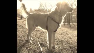 Alle Farben - Remember Yesterday