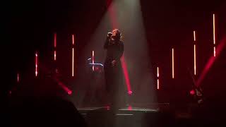 Alison Moyet The Rarest Birds York Barbican 19/11/17