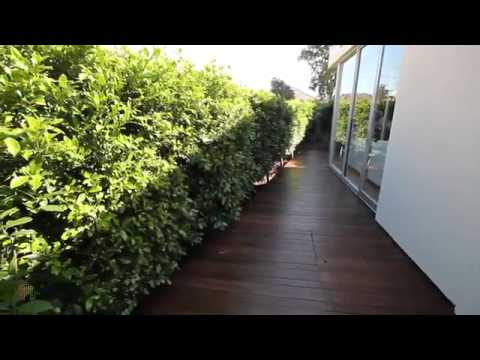 20 Carinya Road, Bentleigh East by Hodges Real Estate