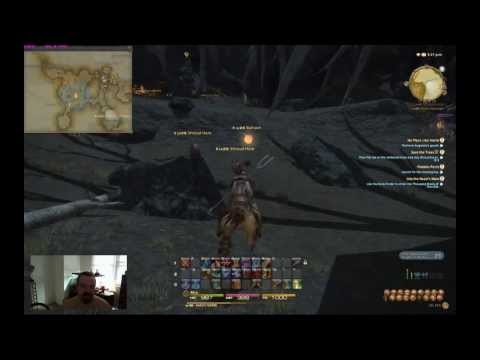 Final Fantasy XIV, A Realm Reborn level 30 quest + comabt gameplay with Dragoon / Lancer job class.