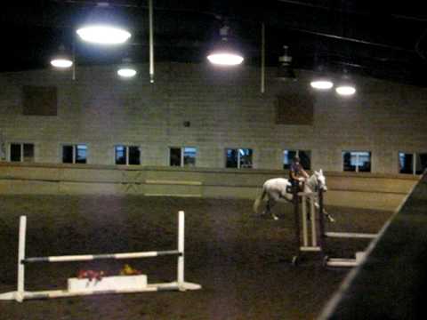 Jamie & Victory at Worcester schooling Jumpers June 2010