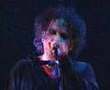 THE CURE - WHERE THE BIRDS ALWAYS SING ...