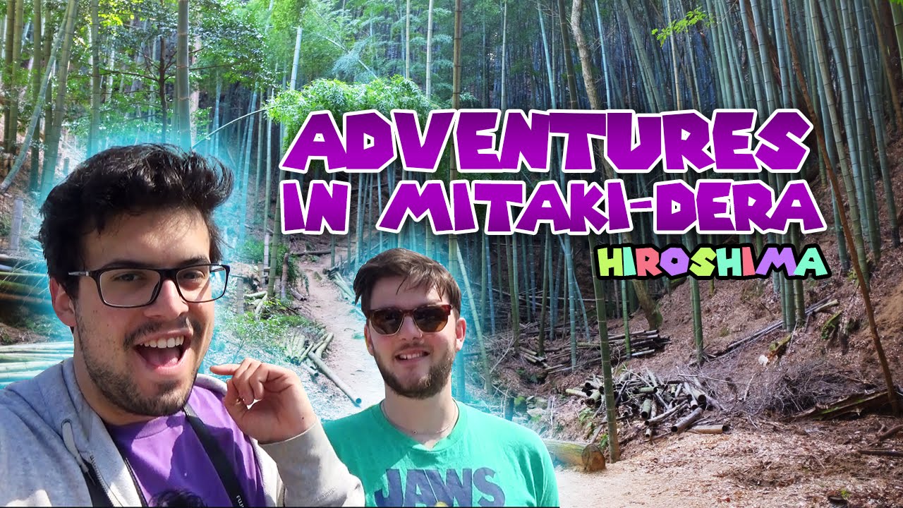 Experience the enchantment as you explore the serene Mitaki-dera temple, a must-visit for any tourist.