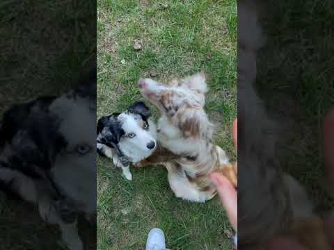 She knows how to hug!!!