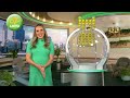 OZ Lotto Results Draw 1544 19 September 2023
