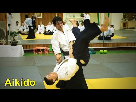 AIKIDO Use central force - Shirakawa Ryuji shihan