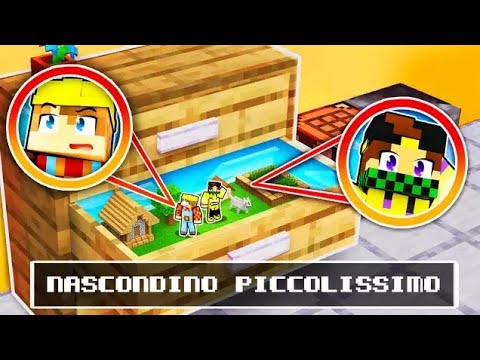 GIOCO A NASCONDINO da PICCOLISSIMO con i MIEI AMICI su MINECRAFT