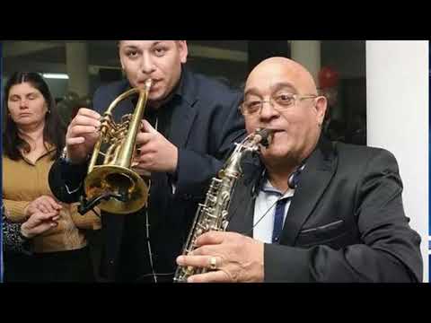 ŽIVA DINULOVIĆ - Četvorka vlaško kolo uživo