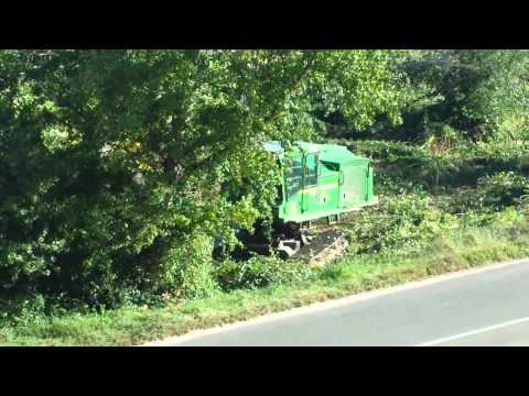   VIA AI LAVORI CONTRO IL RISCHIO IDRAULICO A TAVERNE D'ARBIA