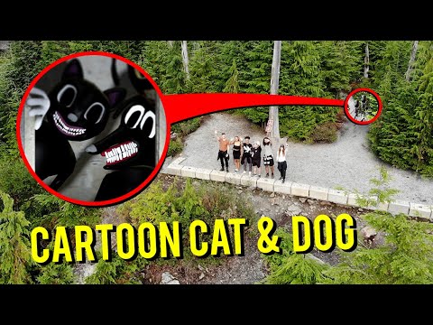DRONE CATCHES CARTOON CAT AND CARTOON DOG IN THE MOUNTAINS!! (WE FOUND THEM!)