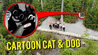 DRONE CATCHES CARTOON CAT AND CARTOON DOG IN THE MOUNTAINS!! (WE FOUND THEM!)