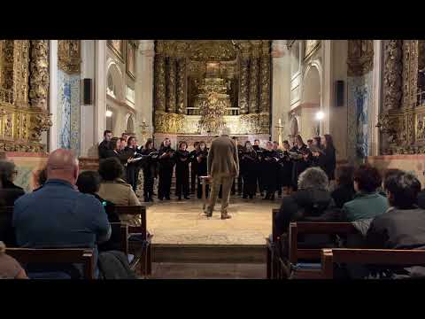 E. Carrapatoso | José António Montanha Carrapatoso - Poemário do meu sangue | CCESML, Paulo Lourenço