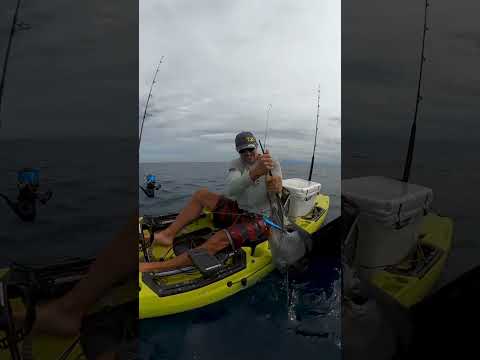 CATCHING GIANT SAILFISH ON A KAYAK!
