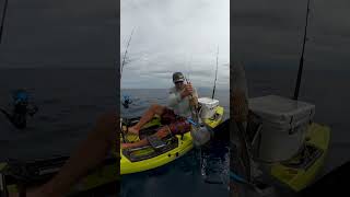 Download lagu CATCHING GIANT SAILFISH ON A KAYAK! mp3
