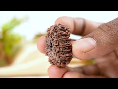 Rudraksha Product Image