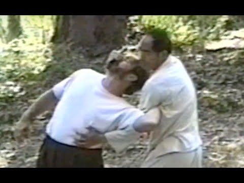 八卦掌 BAGUA ZHANG Dragon Palm Applications