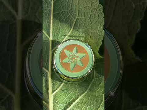 LAMITTA Honey Glue Laminating Adhesive 5 ml 0.17 fl oz