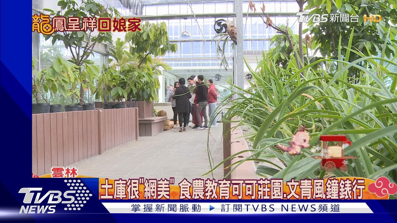 土庫很「網美」!食農教育可可莊園、文青風鐘錶行