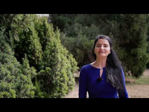 WZP 2024 Preisträgerin Ayfer Karapinar