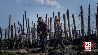 ¿Qué va a ser de la humanidad?