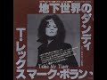 Ｔ・レックスT Rex   僕のペットはタイガーTame My Tiger （1977年）