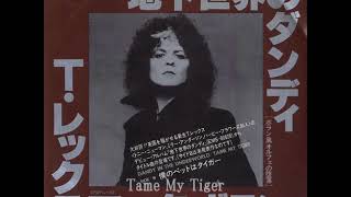 Ｔ・レックスT Rex   僕のペットはタイガーTame My Tiger （1977年）